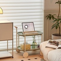 Chariot de rangement en plastique à double niveau, en acier carbone, type sur pied, multifonction, non pliable, portable, table basse mobile pour