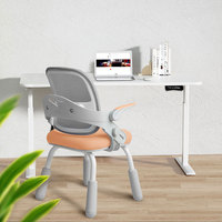 Fabricant de chaises d'apprentissage ergonomiques pour enfants, vente en gros, meubles d'étude à domicile, chaise d'étude bon marché anti-bossu pour enfants