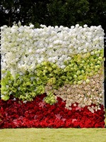 Panneaux muraux en fleurs artificielles 3D 5D en soie, type herbe, pour décoration de mariage, vente en gros
