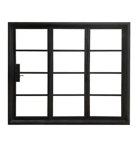 Minimalistischer Stil Gussguss Handschmiede Eisen Stahl Zweiflügelarter Glas-Patio-Tür