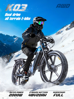 Vélo électrique K03, moteur sans balais 750W, batterie 48V 20AH, assistance au pédalage à 5 niveaux