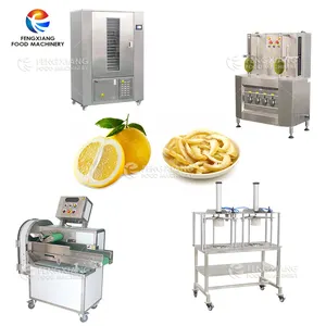 Dried Pineapple Slice Processing Machine Line Skin Peeler Slicer Machine Drying Machine Core Pitting Remover