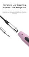 Microphone dynamique sans fil en alliage d'aluminium personnalisable avec connecteur Type C pour conférences, karaoké, enseignement et fêtes