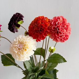 Y-H101 Vente en gros de fleurs de <span class=keywords><strong>dahlia</strong></span> au toucher réel, <span class=keywords><strong>dahlia</strong></span> à 2 têtes, décoration de mariage, décoration de la maison, <span class=keywords><strong>fleur</strong></span> en soie, <span class=keywords><strong>fleur</strong></span> artificielle - Product Image 4