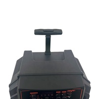 Enceinte portable sur roulettes certifiée 12 pouces 20W avec prise en charge USB/AUX, micro sans fil, lumière RVB pour la promotion de la vente ambulante