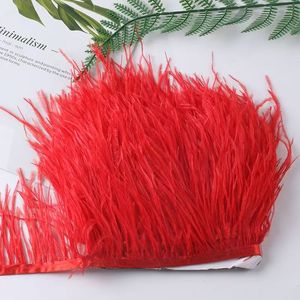 Chất Lượng Cao 10-15Cm Nhuộm Lông Đà Điểu Cho Quần Áo Trang Trí Đầy Màu Sắc Rìa Tự Nhiên Cho Đám Cưới Lễ Hội Hàng Thủ Công Hàng Đầu Rửa Sạch - Product Image 2