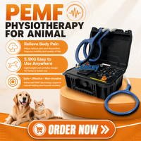 Appareil PEMF de haute qualité pour chiens et chevaux, soulagement de la douleur dorsale, fréquence réglable, dispositif PEMF pour centre équestre