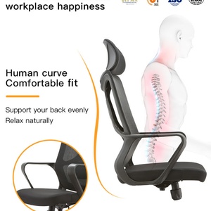 <b>Cheap</b> Executive Mesh Office Chair with Fixed Armrest High Back Swivel Modern Design Ergonomic Adjustable Height Aluminum <b>Frame</b> - Product Image 2