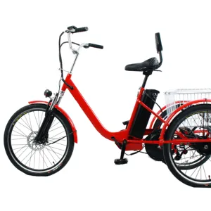 2022 new model cargo bike foldable electric battery cycle 500/1000W electric Tricycle for passengers minmax Wholesale