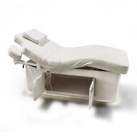 Lit de Traitement de Beauté Électrique Chauffant pour Spa et Salon, Meuble en Bois à 2 Moteurs, Table de Massage Médicale Électrique