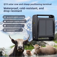 Traceur dédié pour bovins, ovins, chevaux ; Dispositif de positionnement intelligent étanche à énergie solaire Beidou/GPS avec thermomètre, modèle Q19