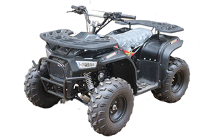 125CC ATV / Quad 4x4/ Off Road/Dirt Bikes in Zhejiang