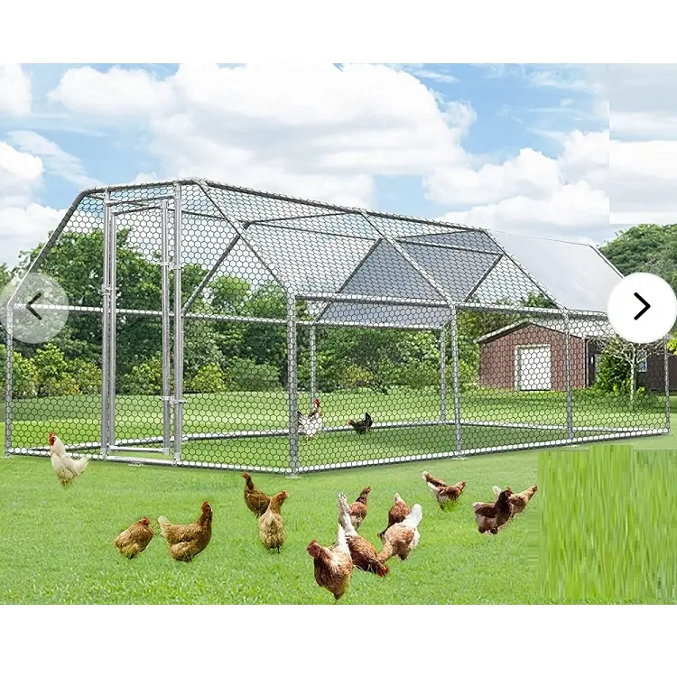 Jaula de Metal para correr aves de corral, casa de gran capacidad, alta calidad, para 10-15 pollos, China