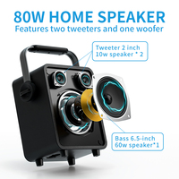 Système de karaoké multifonctionnel 80W, microphone sans fil, amplificateur vocal haut de gamme/système sonore pour instruments