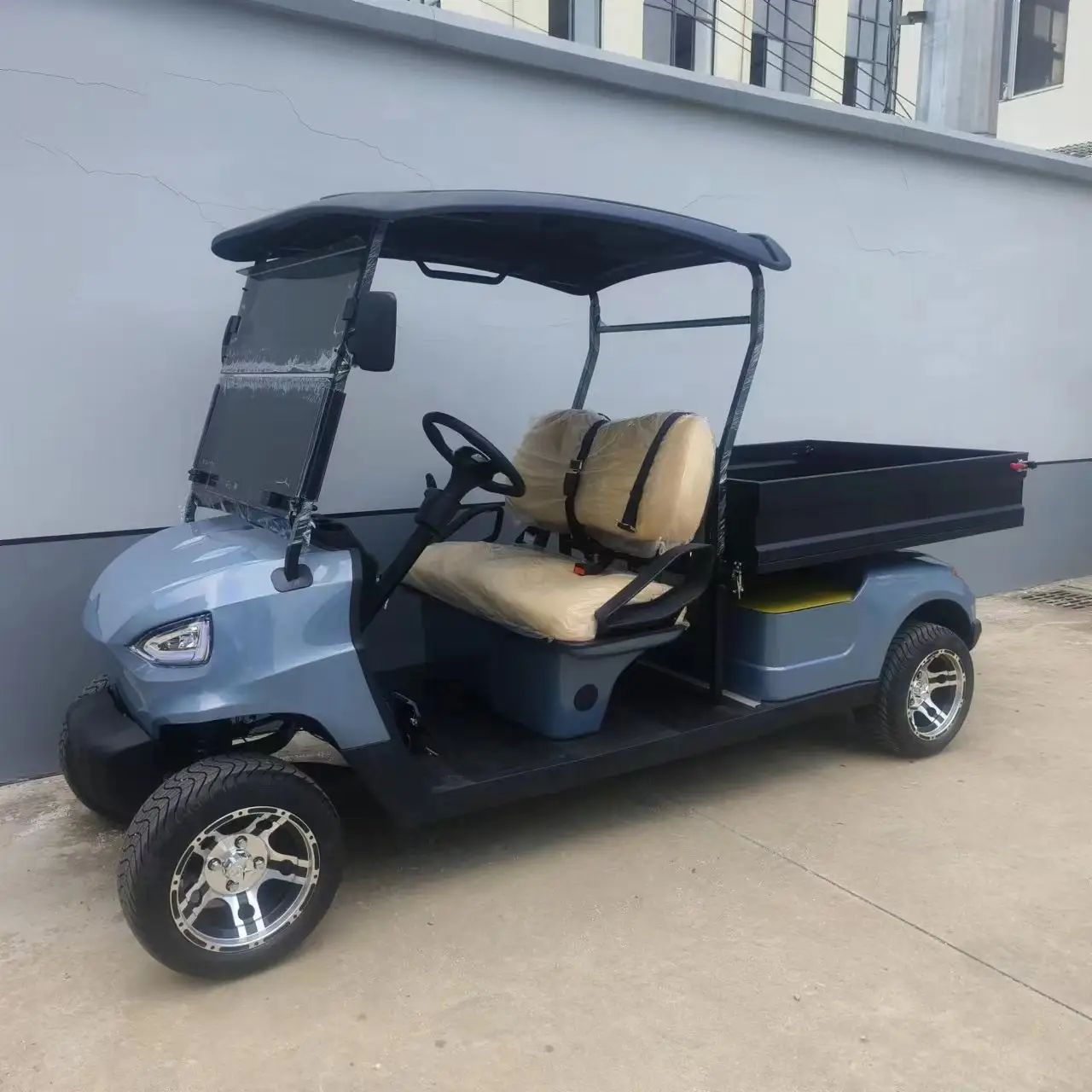 Buggy Cart 2 Seater Golf Utility Cart Electric With Cargo Box