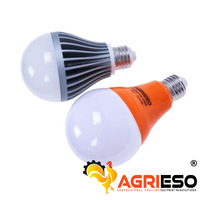 Ampoule LED de type H pour cage à poulets avec fil, éclairage pour l'élevage de poulets de chair et de poules pondeuses