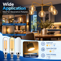 Fournisseur d'éclairage décoratif OEM ODM, ampoule à filament LED T20 4W E14, ampoule tubulaire 400lm, verre clair ambré givré, certifié CE UKCA