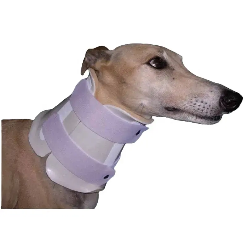 Comfortabele Orthopedische Thermoplastische Spalk Voor Hond Kat Been Botbreuk Immobilisatie Afmeting 600*900Mm