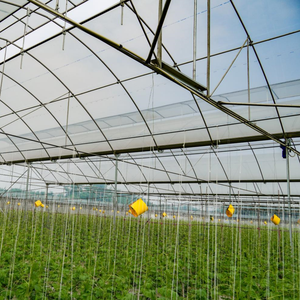 Serre agricole commerciale multi-spans avec système de suspension pour plantes grimpantes (tomates, concombres, raisins) - Product Image 1