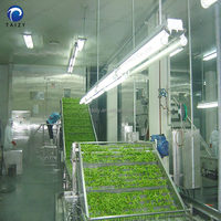 Machine de glaçage des Fruits et légumes, ml, ligne de traitement, pour la congélation d'aliments, de Fruits, de maïs mouillés