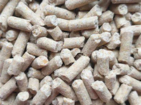 Machine de remplissage automatique de sacs de riz Ewinall QZB-900N - Ligne granulaire haute vitesse de qualité alimentaire avec écran tactile PLC et servomoteur pour sachets en papier
