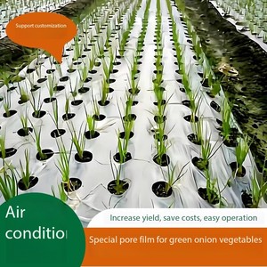 <span class=keywords><strong>Film</strong></span> de paillage plastique anti-UV <span class=keywords><strong>noir</strong></span>, <span class=keywords><strong>film</strong></span> de paillage <span class=keywords><strong>agricole</strong></span> en PE <span class=keywords><strong>noir</strong></span>, couverture de sol en plastique argenté pour la culture du maïs, des fruits et des légumes - Product Image 6