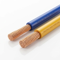 Cable Eléctrico de Cobre Aislado en PVC para Construcción de Viviendas, OEM Personalizado, 450/750V, BV, RV, BLV, BRV, de un Solo Núcleo