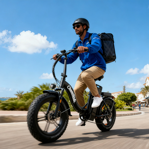 Vélo Électrique Chamrider DT450 entrepôt UE, <span class=keywords><strong>Livraison</strong></span> Gratuite, Moteur Moyeux Gros, Batterie 48V 50Ah, 20 Pouces, pour <span class=keywords><strong>Livraison</strong></span> de Pizzas et Travail - Product Image 1