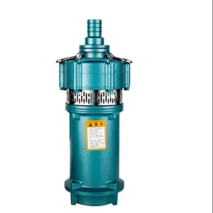 Zhejiang Dayuan <b>submersible</b> <b>pump</b> Q3-33-2-0.75 Q6-22-2- Q6--2- Q3-48-3-1.1 Q6-32-3- Q3-62-4-1.5 Q6-43-4- - Product Image 4