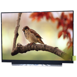 ใหม่ทั้งหมด คุณภาพเยี่ยม G116HAN01.0 11.6 นิ้วจอ LCD 800*600 60Hz จอแสดงผล LCD - Product Image 1
