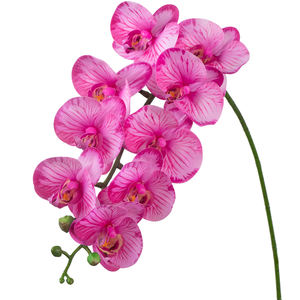Impression 3D <span class=keywords><strong>Tigre</strong></span> Rayures Papillon <span class=keywords><strong>Orchidée</strong></span> Blanc Fleur Artificielle Qualité Supérieure Orchidées En Gros Faux Plantes - Product Image 6