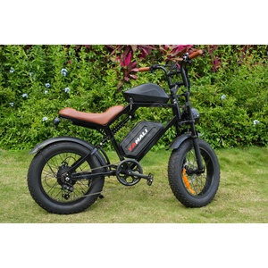 Bicicleta Eléctrica de Montaña Ecoride V2 de Alta Calidad, 350w, 48v10.4ah, Largo Alcance, para Adultos, V2, Fábrica Europea - Product Image 6