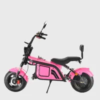 Purchase Varieties of Cooler Scooter at Discounts 