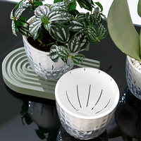 Pot Sukulen Self-Watering, Wadah Hidroponik Transparan, Vas Kultur Air Plastik dengan Desain Stylish