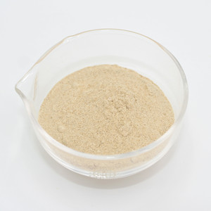 Enzyme hémicellulase de haute qualité provenant d'Aspergillus niger pour l'hydrolyse de l'hémicellulose dans les applications alimentaires - Product Image 3