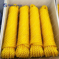 Corde en polyéthylène à 3 brins haute résistance 4mm 6mm 8mm 10mm pour la pêche marine