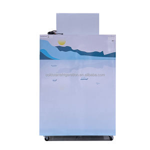 Commercial Single-Temperature Fan Cooling Bagged Ice Storage <b>Freezer</b> Outdoor Industrial Storage Bin - Product Image 3