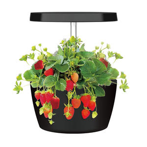 Sistema hidropónico inteligente para jardín interior LED de espectro completo, para uso doméstico en cultivo de suculentas y hierbas - Product Image 2