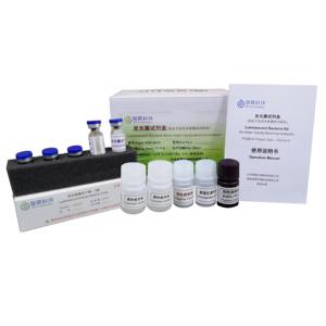 Analyseur automatique de la qualité de l'eau portable, détecteur de toxicité aquatique rapide, bactéries luminescentes certifiées ISO 9001, BX-TECH - Product Image 4