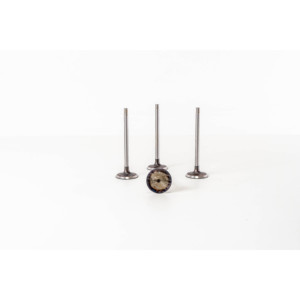 Válvula de Admisión Apta para RENAULT 7701473184 Válvulas de Motor - Product Image 2