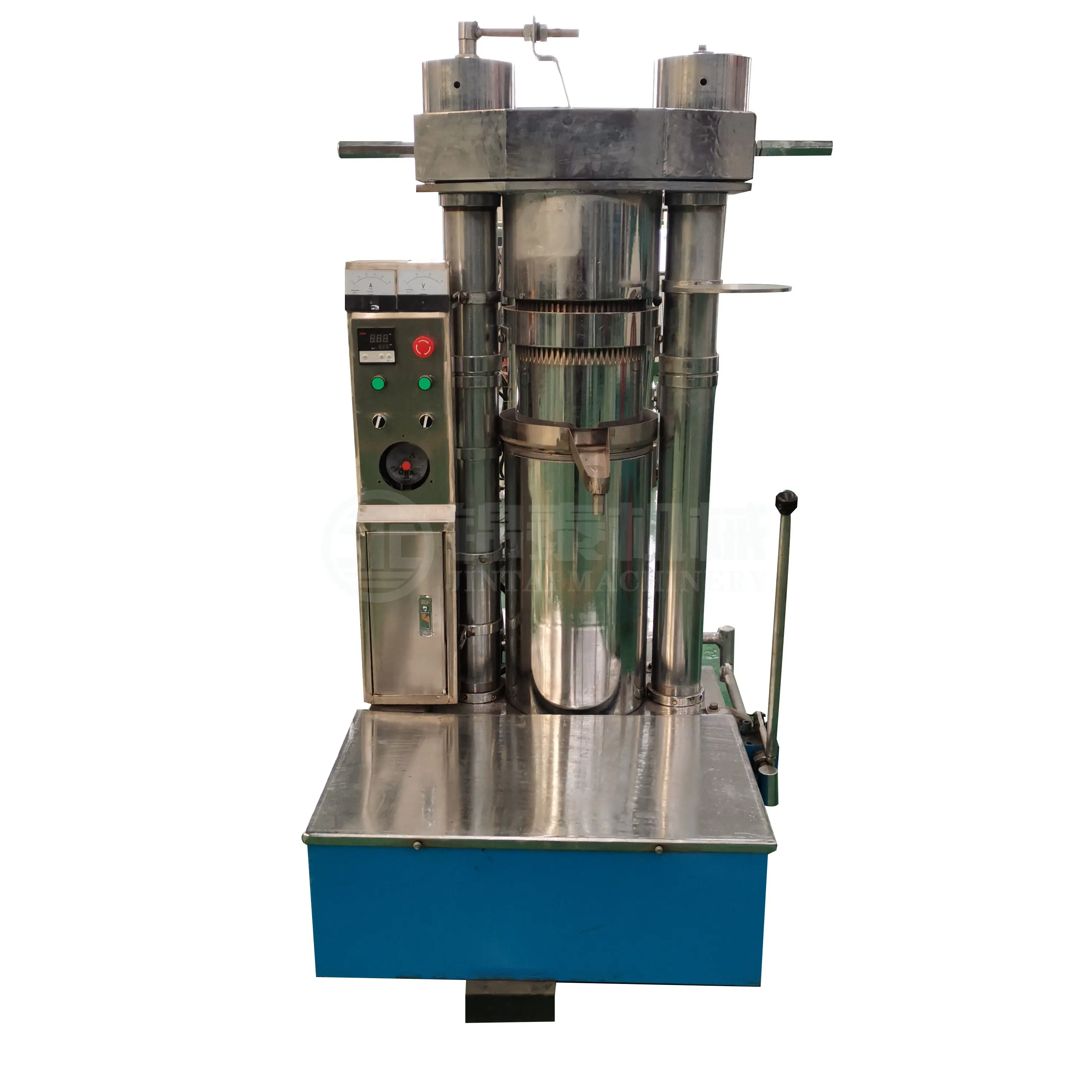 henan hydraulic factory price stainless steel full automatic pine nut flax seed moringa screw/ hydraulic oil press machine