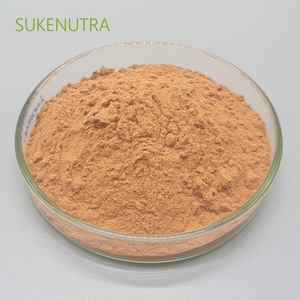 Zimt-Rindextraktpulver mit 30 % Polyphenolen zur Unterstützung des Zuckerstoffwechsels - Product Image 6