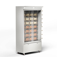 Four à rôtir poulet rotatif automatique en acier inoxydable à gaz, barbecue rotissoire à poulet - Grande Vente