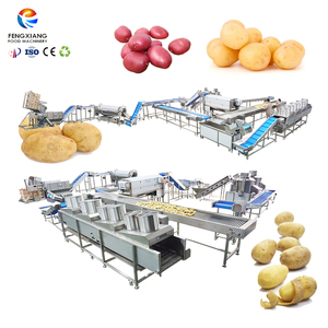สายการผลิตมันฝรั่งปอกเปลือกอัตโนมัติ เครื่องป้อนมันฝรั่ง เครื่องล้างและปอกเปลือกสำหรับขายส่งมันฝรั่ง - Product Image 1
