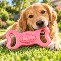 Jouet à mâcher pour chien en TPR, jouet interactif durable pour le nettoyage des dents et les jeux quotidiens