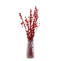 Natürliche Trocken blume Silver Willow Spring Festival Konservierte Blumen pflanzen Wohnkultur Salix Argyracea