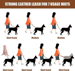 Neu eingetroffen: Geflochtenes, robustes und langlebiges Hundeleinen- und Halsband-Set aus Leder, geeignet für kleine und mittelgroße Hunde - Product Image 4