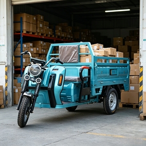 Venta Directa de Fábrica, Triciclo Eléctrico de Carga con Carrocería Abierta, Motor de 800W, Capacidad de Carga de 200-300 kg, Vehículo de <span class=keywords><strong>Transporte</strong></span> de Tres Ruedas para Adultos - Product Image 1