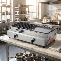 Machine à hot-dogs portable mini en gros, en acier inoxydable, avec revêtement de qualité alimentaire, facile à nettoyer, idéale pour les stands de route