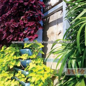 นำเข้าสินค้าราคาถูกจากจีน กระถางปลูกต้นไม้ติดผนังแนวตั้ง - Product Image 5